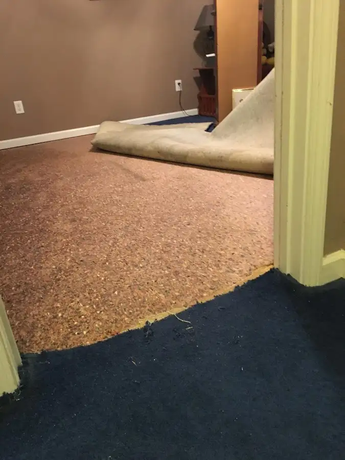 Carpet pad removal revealing water damage during Drying & Dehumidification in North Branch