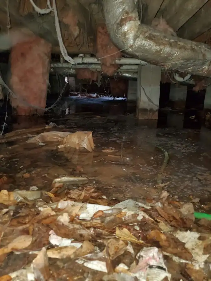 Crawl space flood assessment for Leak Detection & Repair in North Branch