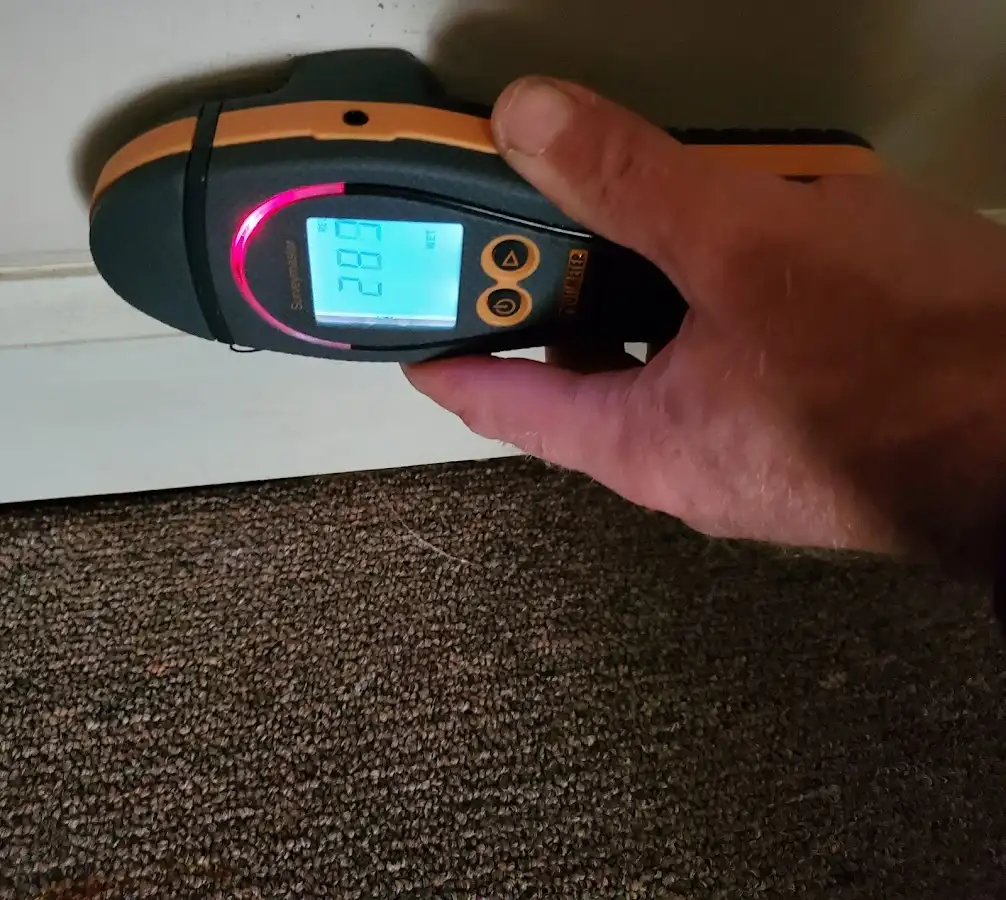 Moisture detection at baseboard during Sewage Cleanup & Sanitation in North Branch